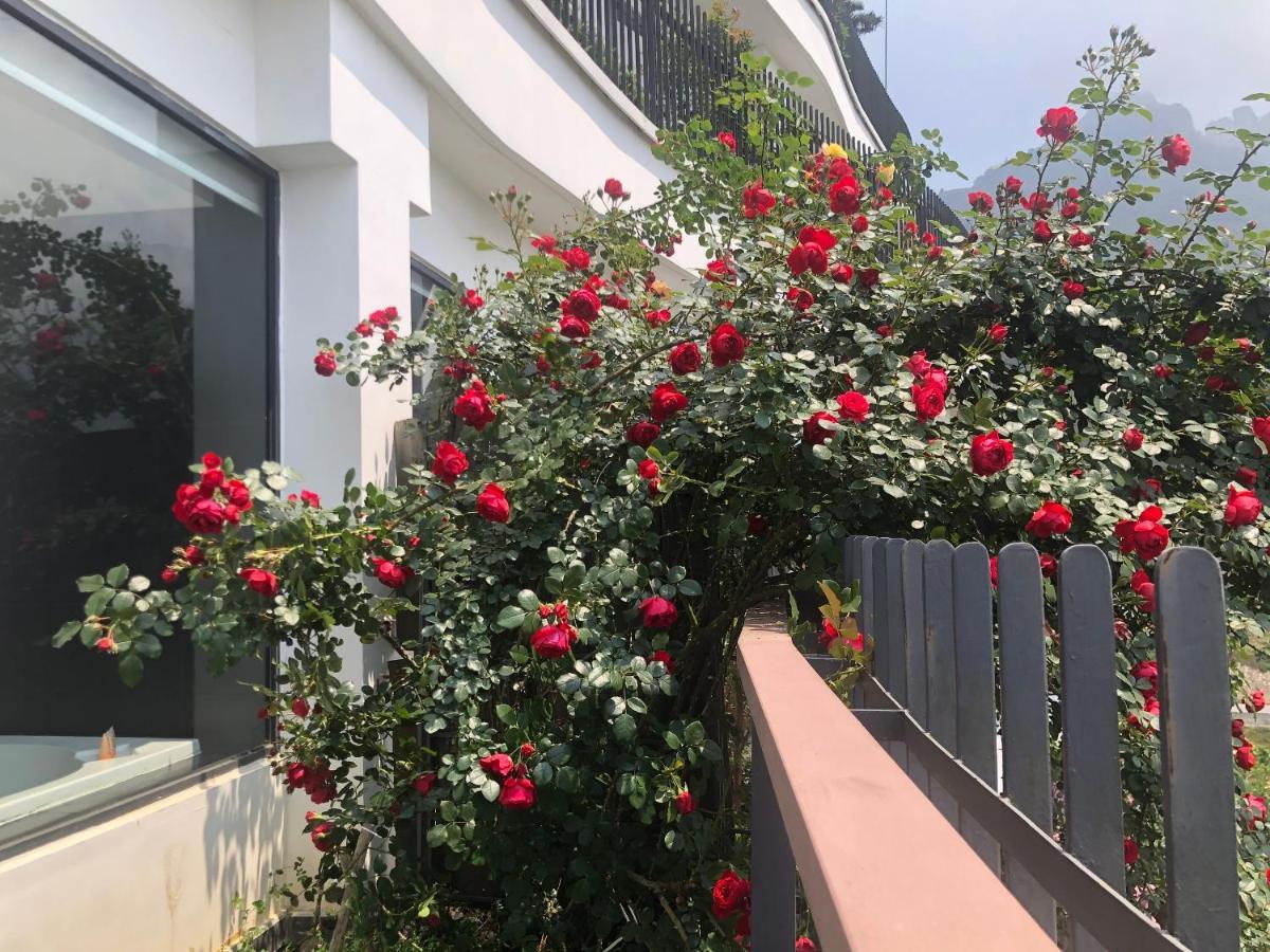 เปาส์ ซาปา เลเชเชอร์ โฮเต็ล Hotel ภายนอก รูปภาพ Rosa kordesii