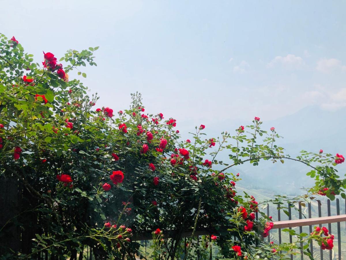 เปาส์ ซาปา เลเชเชอร์ โฮเต็ล Hotel ภายนอก รูปภาพ Rosa kordesii